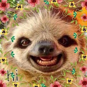 Meet your Posher, Becky